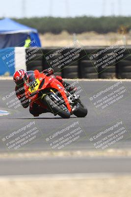 media/Jul-19-2025-TrackDaz (Sat) [[ff1509a44a]]/A Group/12pm (Turn 1)/